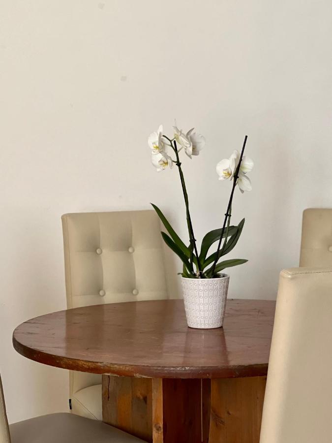 Novi Ligure Private Apartment المظهر الخارجي الصورة
